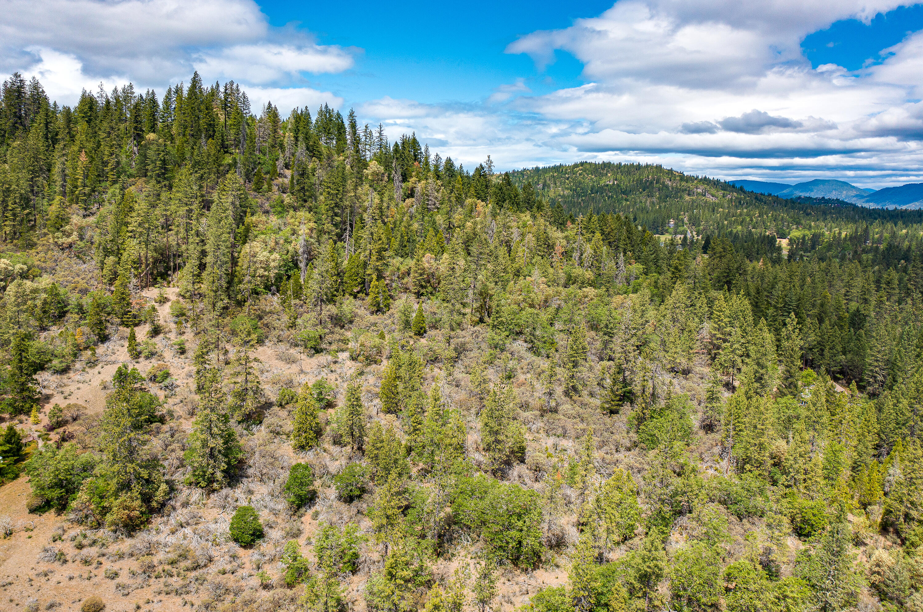 610 Fish Hatchery Road Grants Pass, OR 97527 - Photo 11 of 12 DJI_0954HDR1