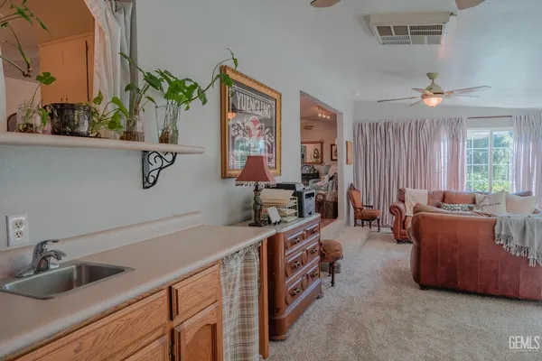 a living room with furniture a rug and a potted plant