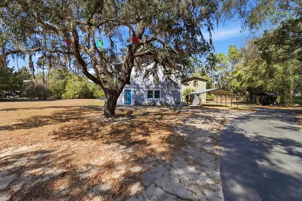 a view of a house with backyard and tree