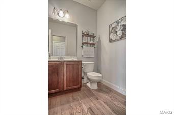 1105 Spring Lilly Court High Ridge, MO 63049 - Photo 12 of 29