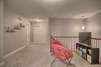 1105 Spring Lilly Court High Ridge, MO 63049 - Photo 14 of 29