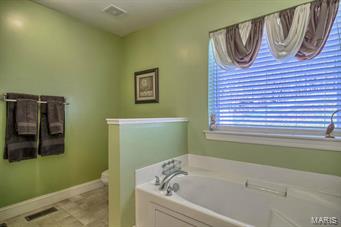 1105 Spring Lilly Court High Ridge, MO 63049 - Photo 17 of 29