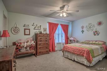 1105 Spring Lilly Court High Ridge, MO 63049 - Photo 18 of 29