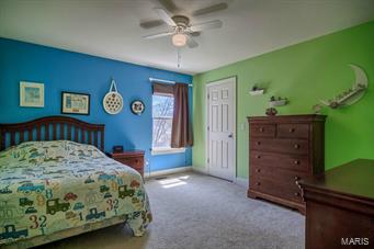 1105 Spring Lilly Court High Ridge, MO 63049 - Photo 19 of 29