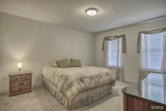 1105 Spring Lilly Court High Ridge, MO 63049 - Photo 20 of 29