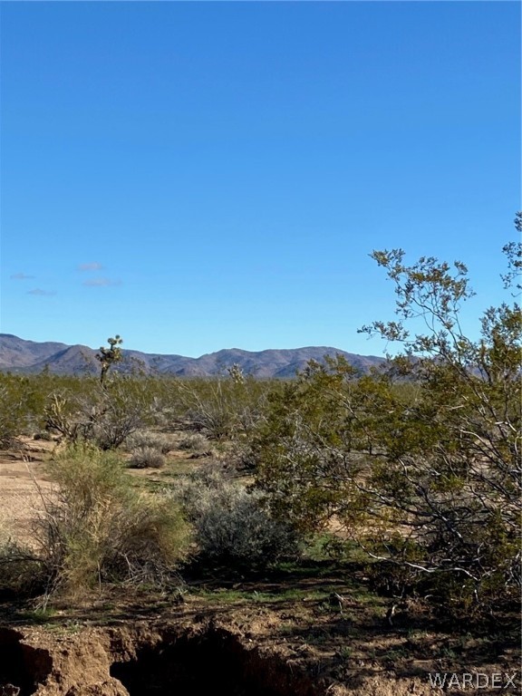 2586 South John Wayne Road Yucca, AZ 86438 - Photo 3 of 27 Gallery Image 3