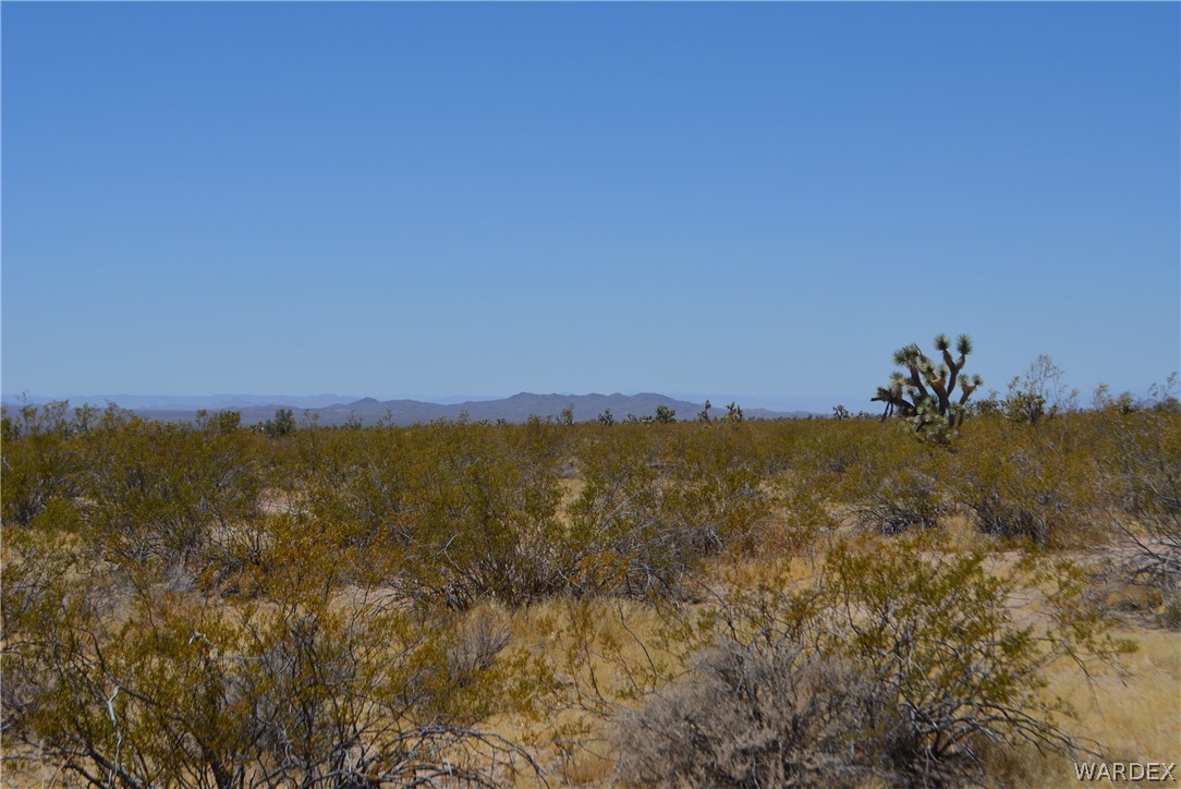2586 South John Wayne Road Yucca, AZ 86438 - Photo 8 of 27 Gallery Image 8