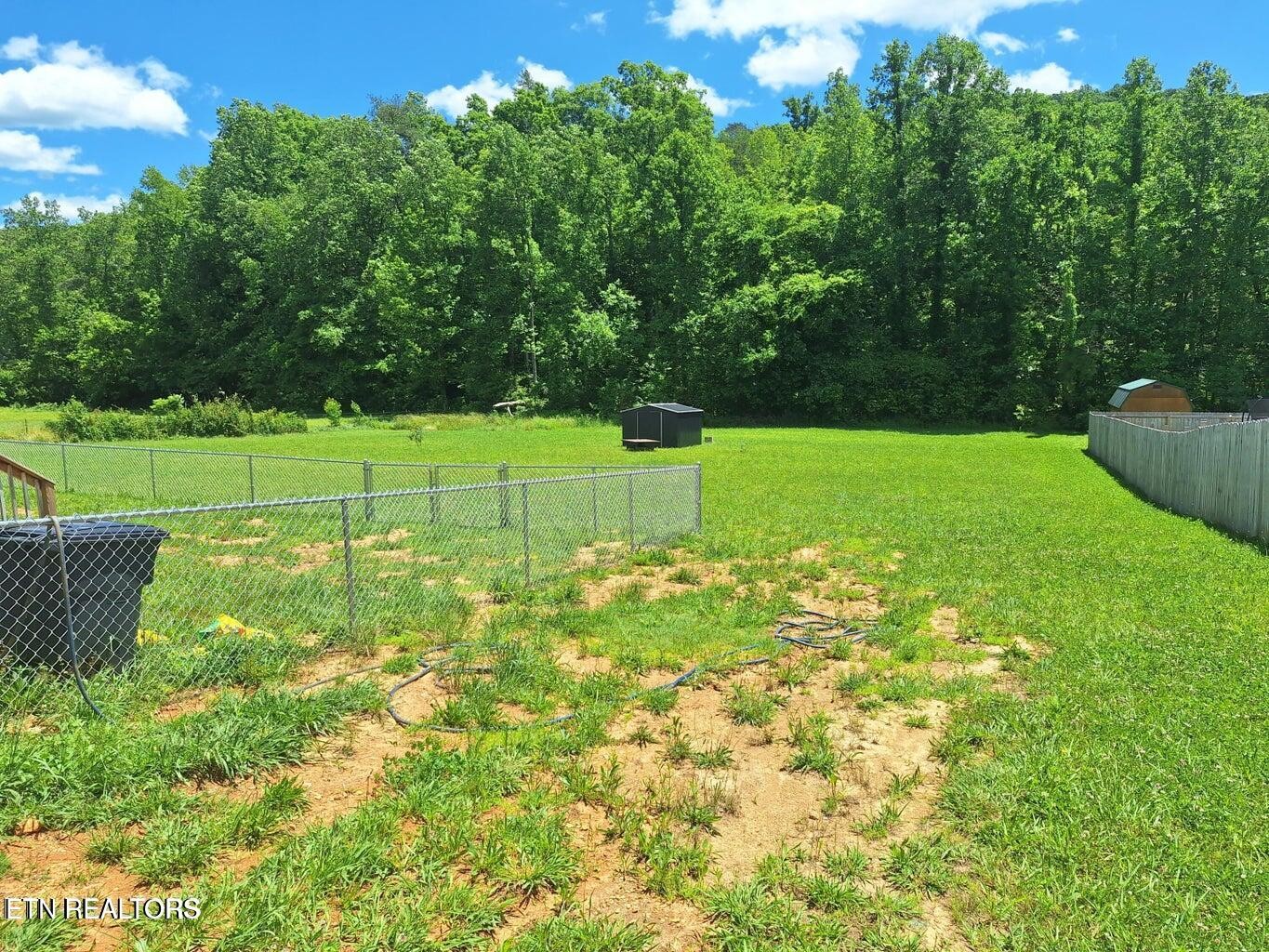 1450 Belltown Road Tellico Plains, TN 37385 - Photo 4 of 32 a view of field with grass and trees
