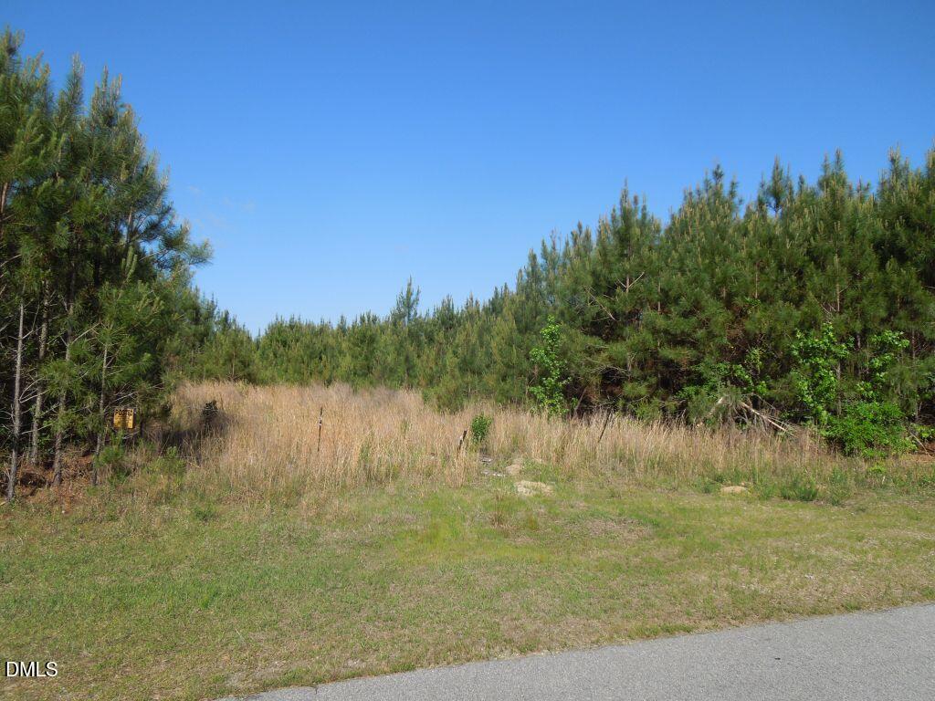 0 River Road Henrico, NC 27842 - Photo 24 of 33 DSCN0577