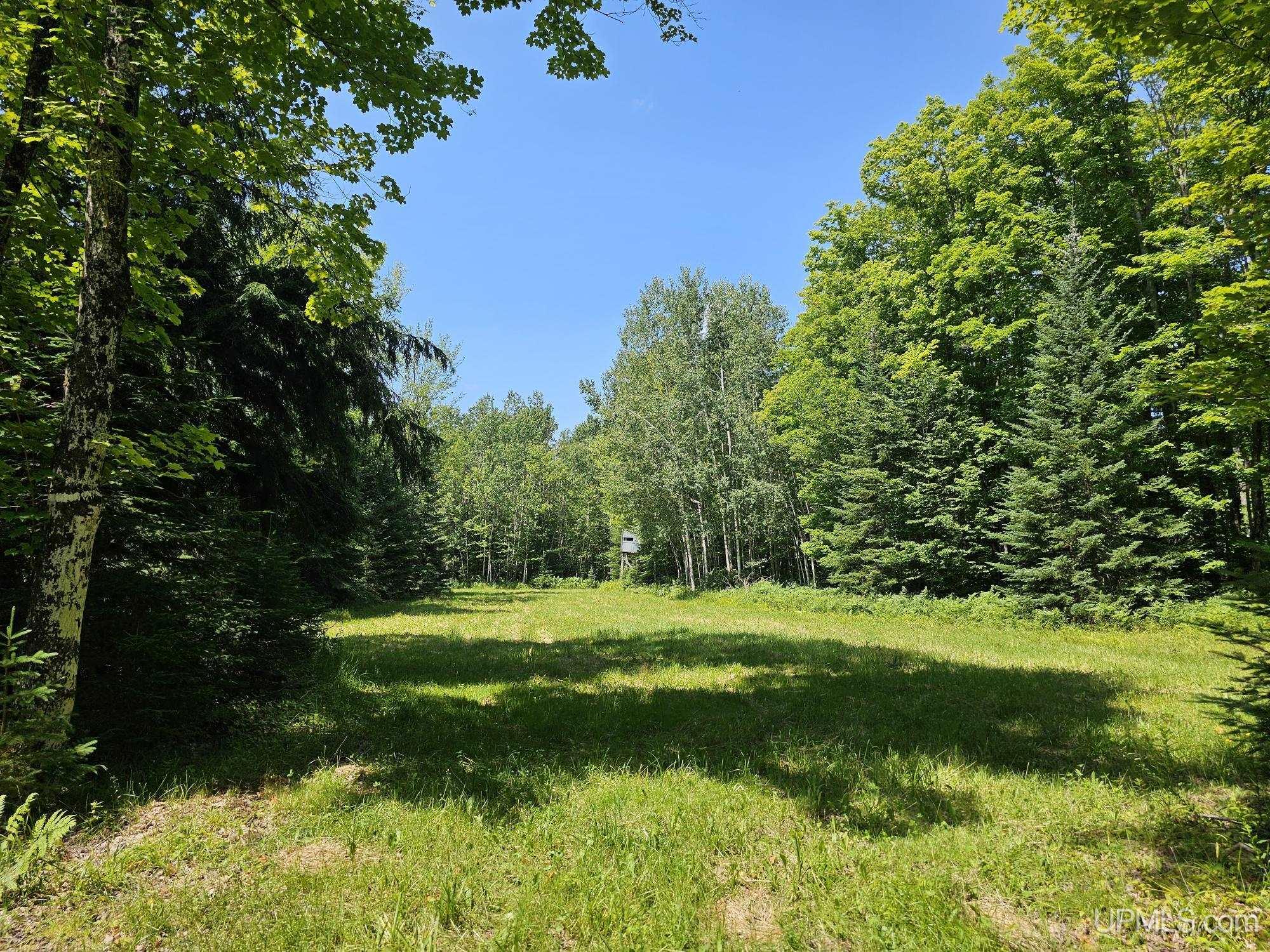 5368 Camp 23 Road Germfask, MI 49836 - Photo 60 of 61 Gallery Image 60