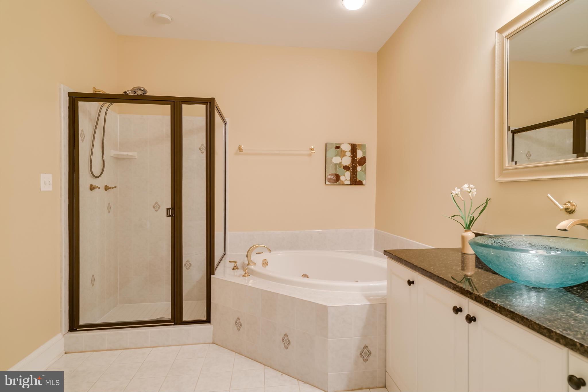 15657 Limestone School Road Leesburg, VA 20176 - Photo 20 of 30 Main Level Master Bath