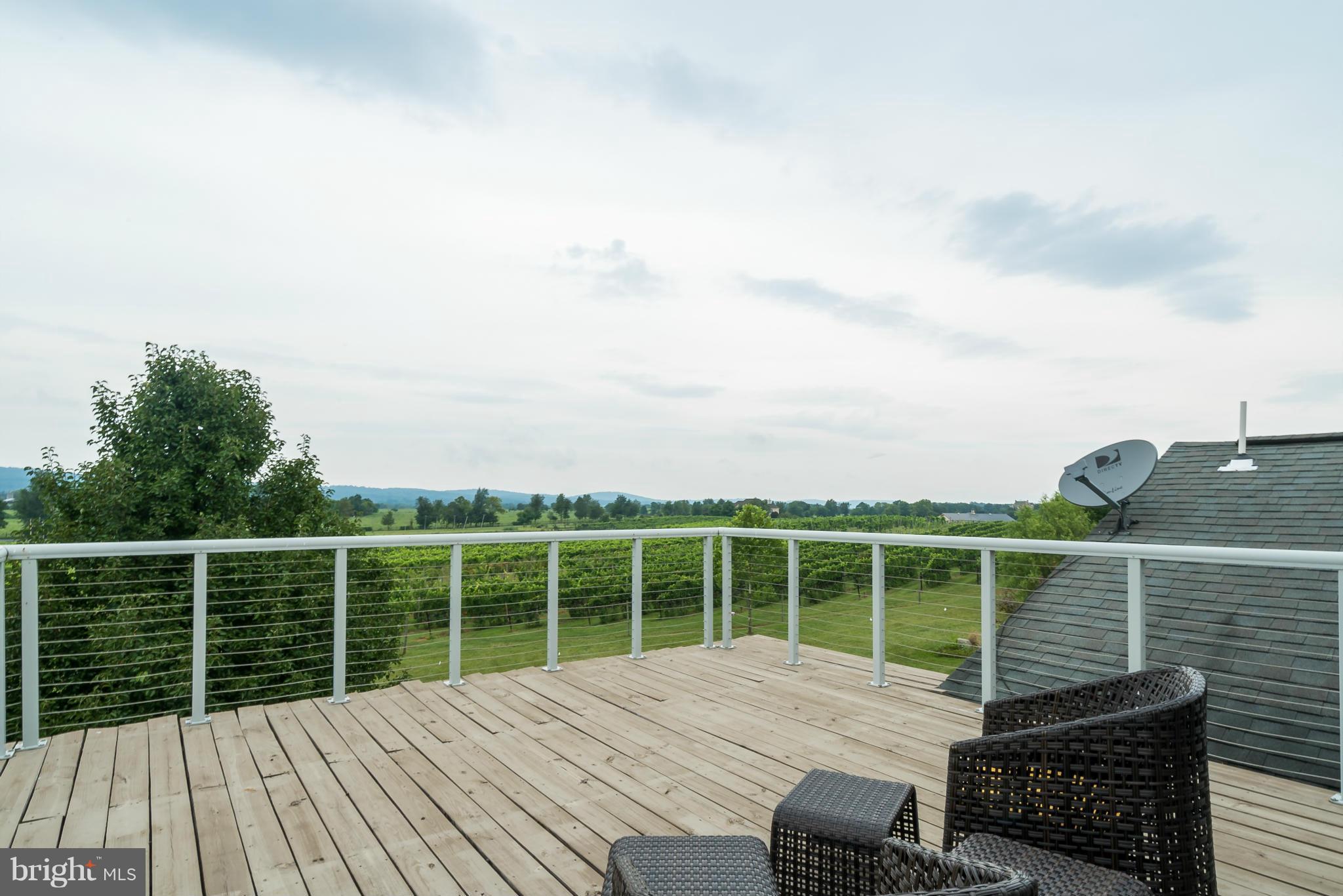 15657 Limestone School Road Leesburg, VA 20176 - Photo 22 of 30 Deck with stunning views off upper Master bedroom