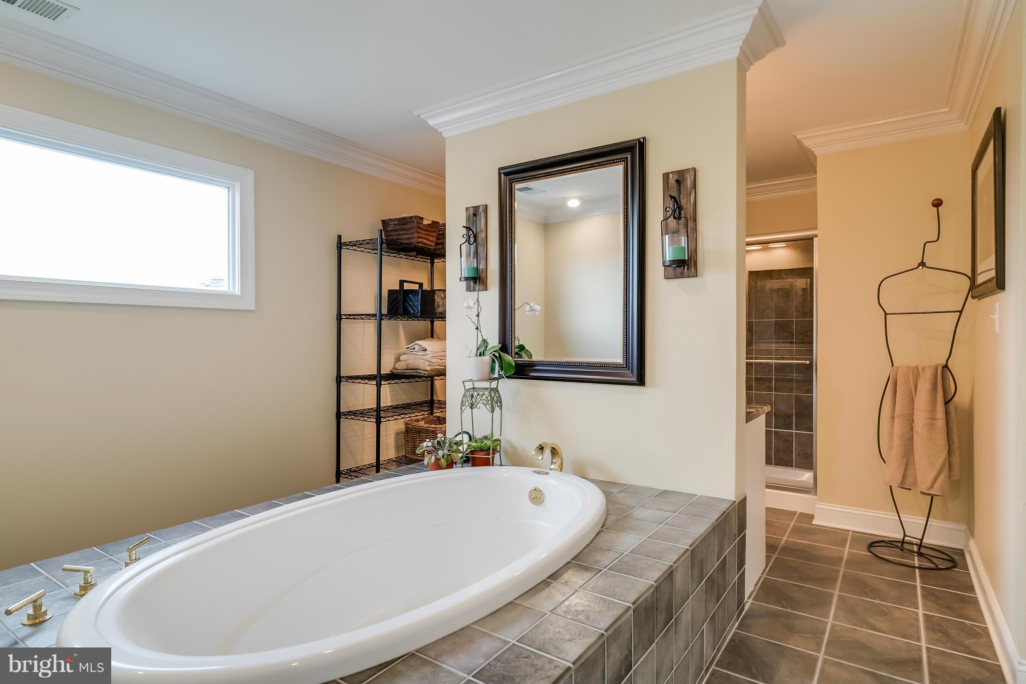 15657 Limestone School Road Leesburg, VA 20176 - Photo 24 of 30 Beautifully serene master bath.