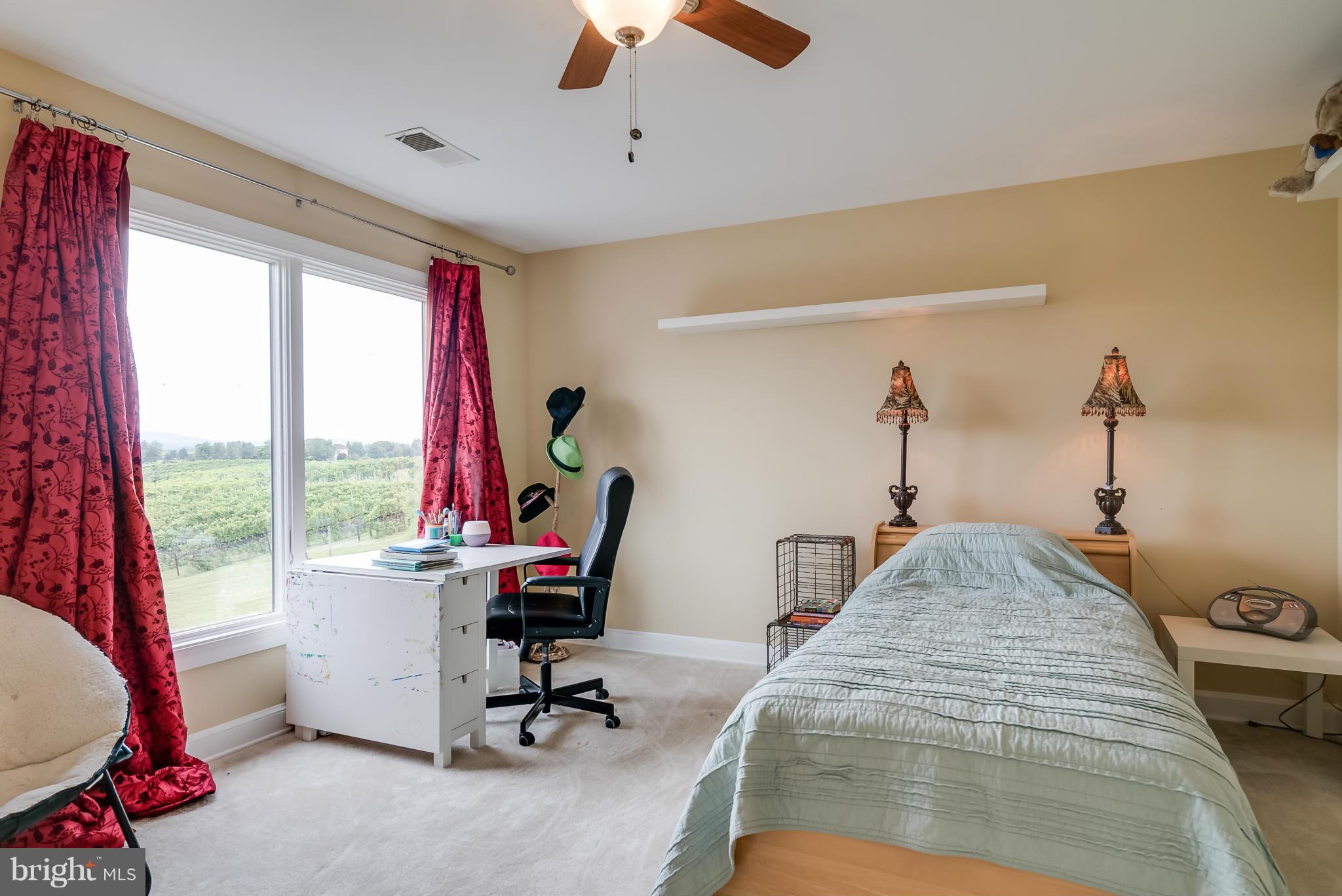 15657 Limestone School Road Leesburg, VA 20176 - Photo 26 of 30 Secondary bedroom with views for miles.