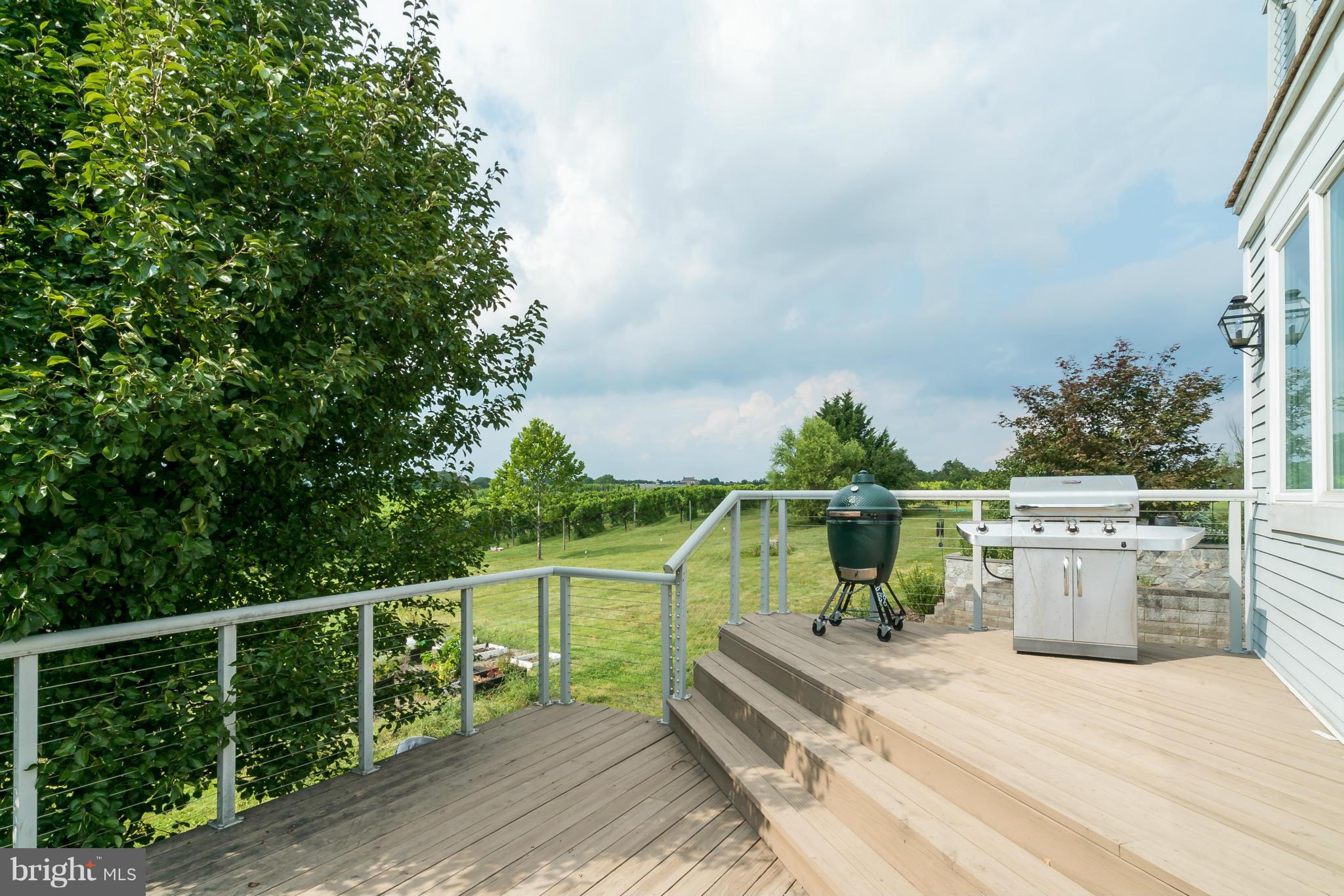 15657 Limestone School Road Leesburg, VA 20176 - Photo 4 of 30 Perfect for the grills, expansive second deck