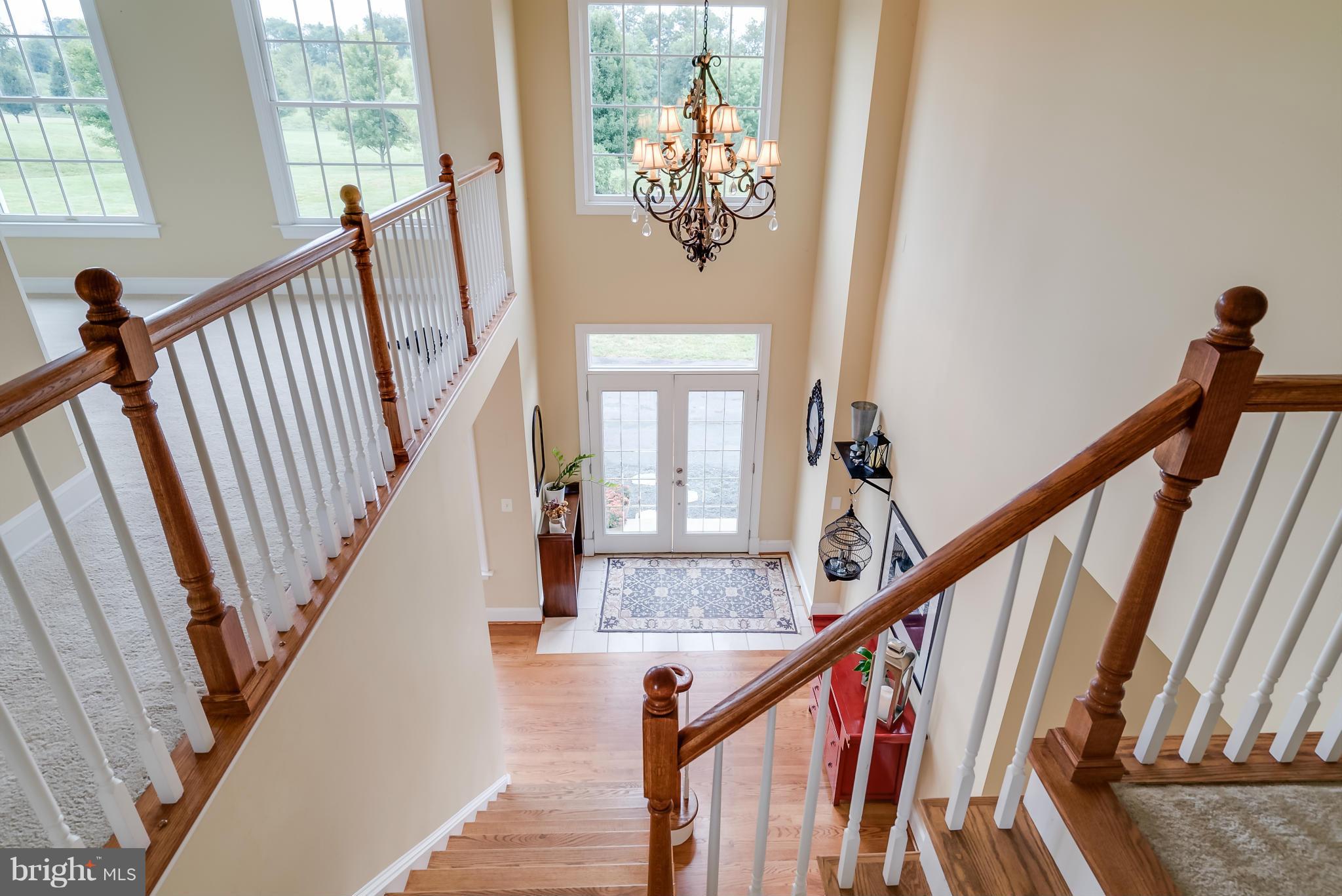 15657 Limestone School Road Leesburg, VA 20176 - Photo 6 of 30 Two story foyer with amazing natural light.