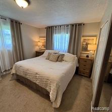2201 Maplegrove Road Jackson, MI 49201 - Photo 8 of 21