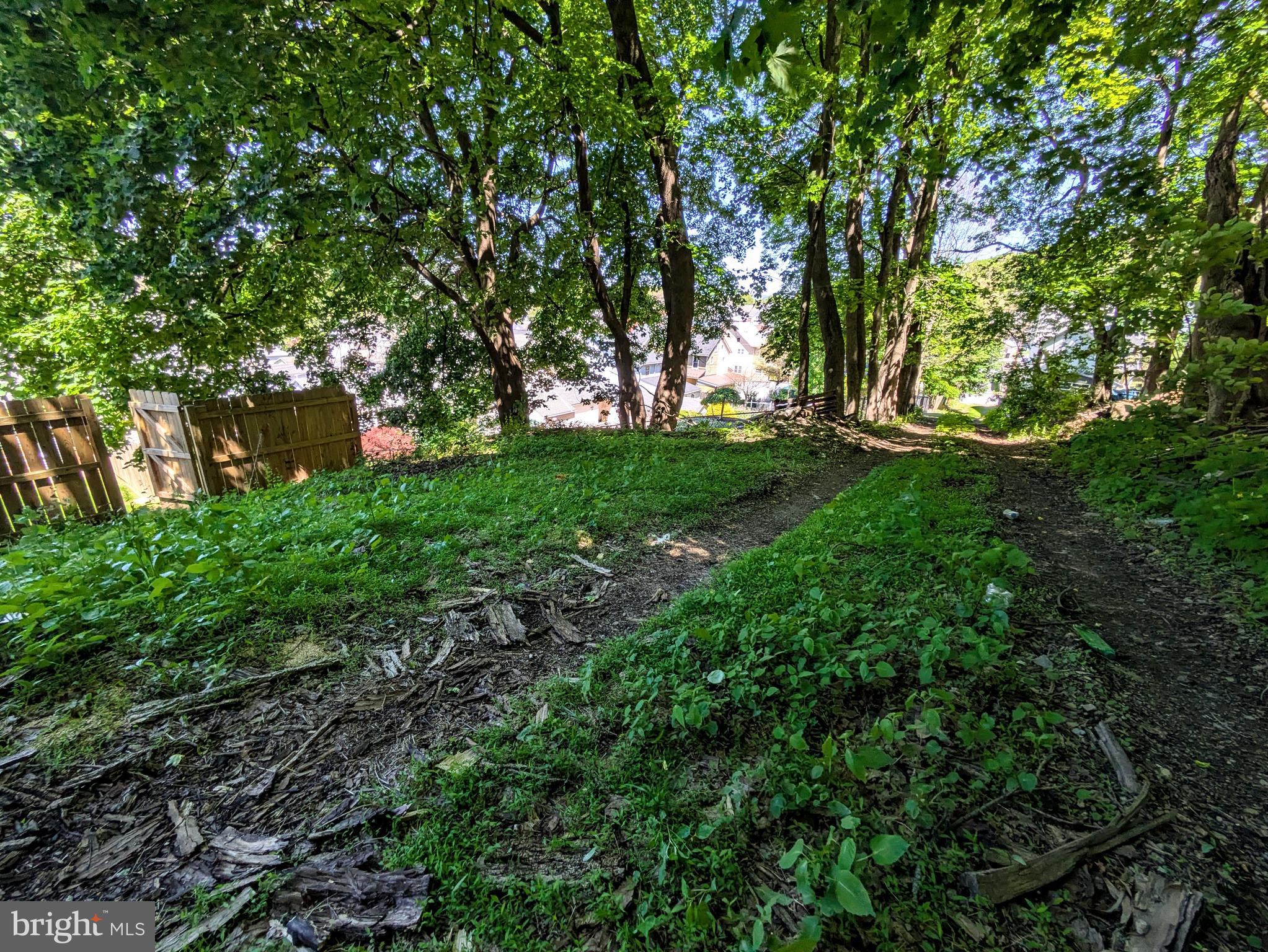 429 West South Street Slatington, PA 18080 - Photo 20 of 22 a view of backyard with green space