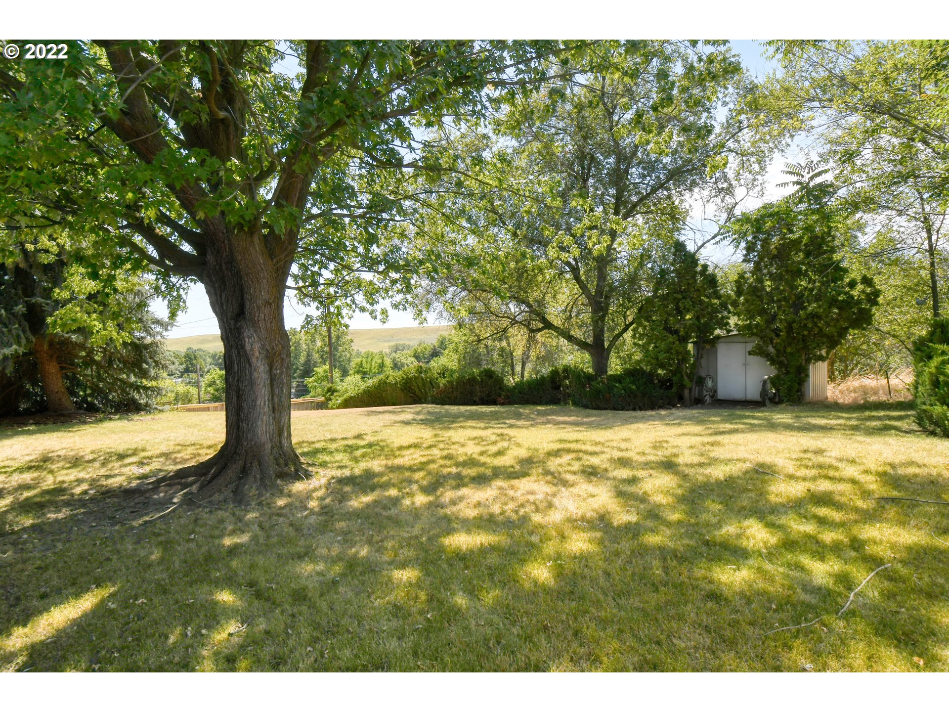 3231 Southwest Isaac Avenue Pendleton, OR 97801 - Photo 29 of 32 a view of yard with trees