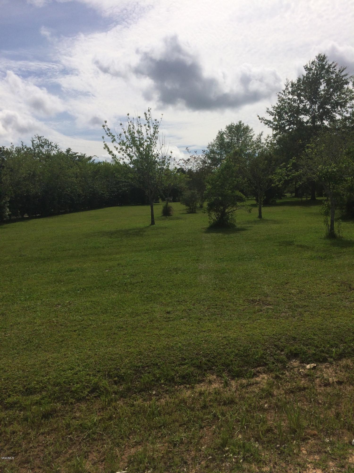 0 Lavada Road Vancleave, MS 39565 - Photo 1 of 1 IMG_0477