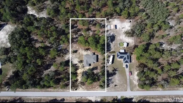 an aerial view of a house with a yard and large trees