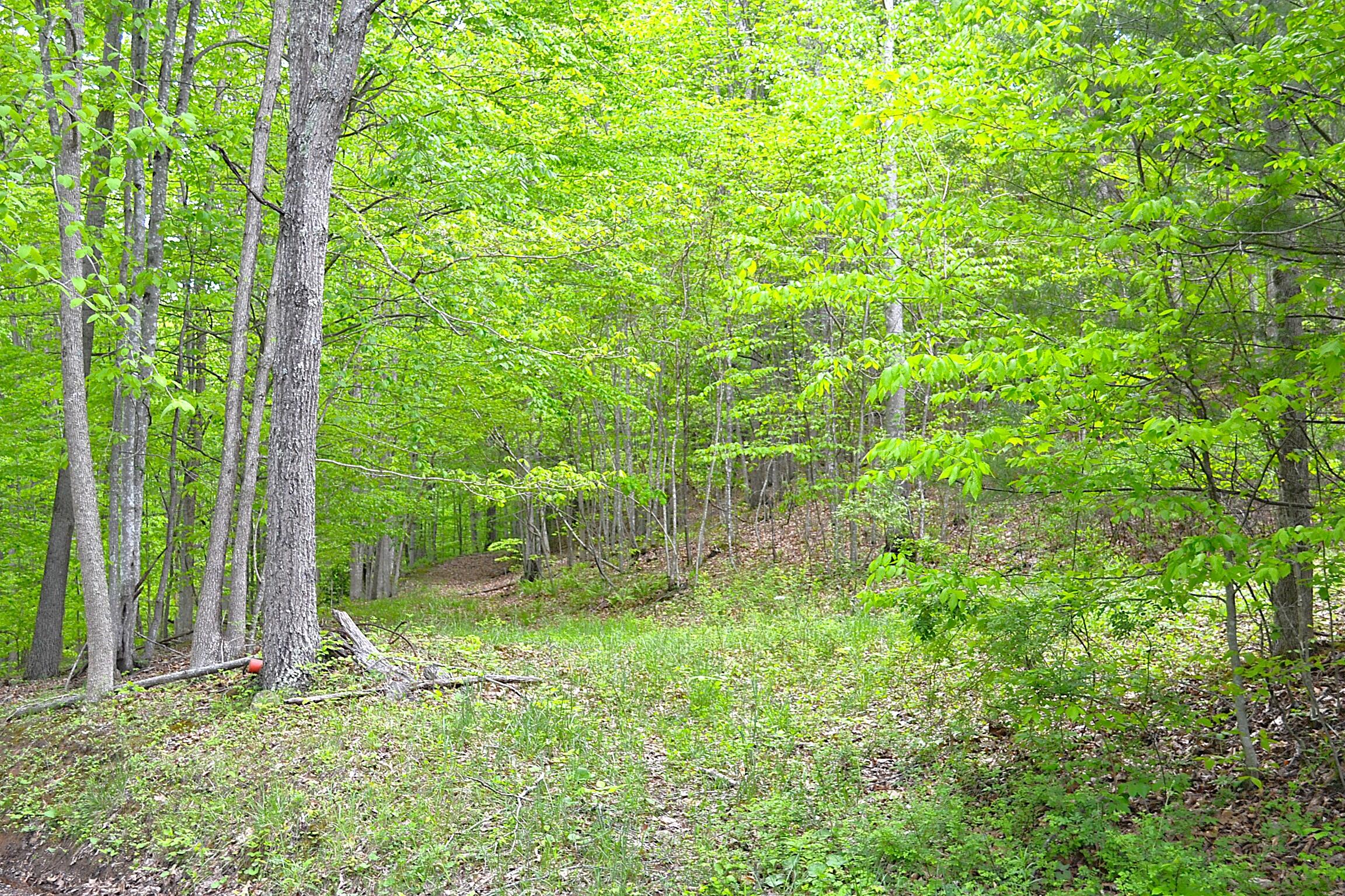 Germany Road Renick, WV 24966 - Photo 1 of 22 Gallery Image 1