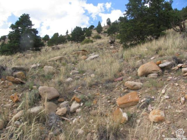 700 Spring Canyon Road Helper, UT 84526 - Photo 18 of 19 Sloping terrain featuring natural rock formations and scattered mature evergreen trees