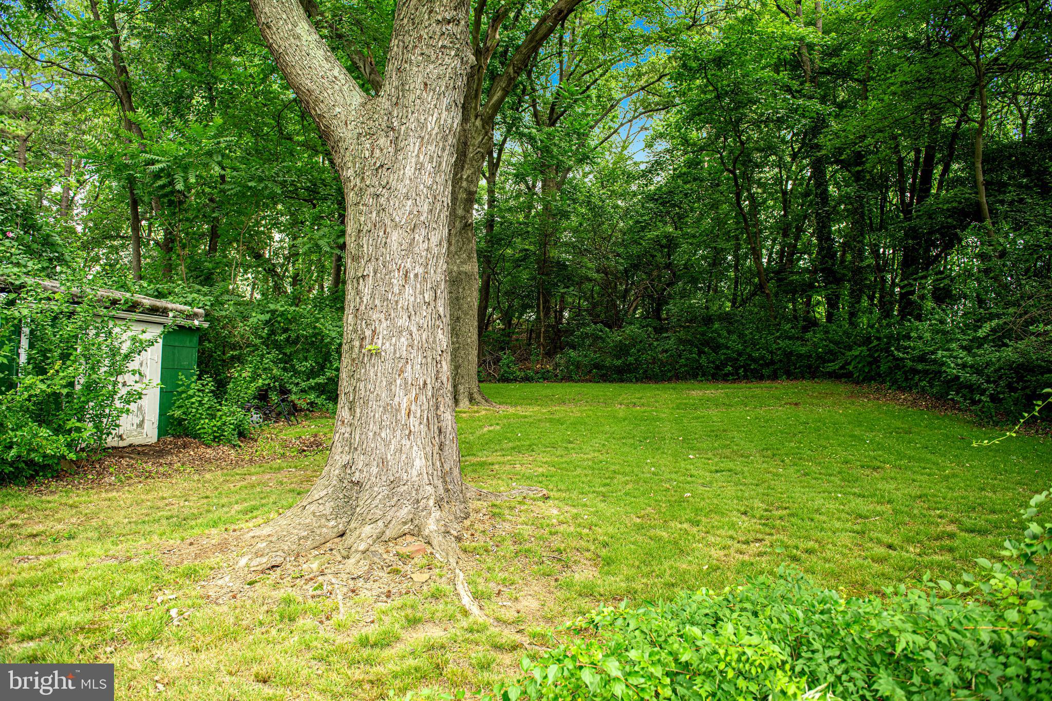 1426 Rosewick Avenue Rosedale, MD 21237 - Photo 41 of 50 Gallery Image 41