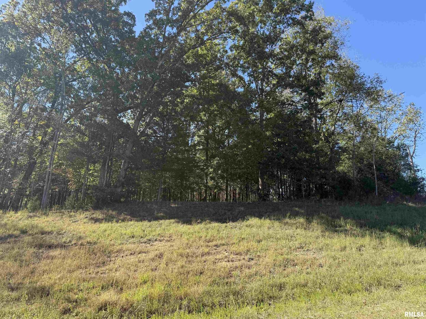 0 Clifty Lane Goreville, IL 62939 - Photo 2 of 8
