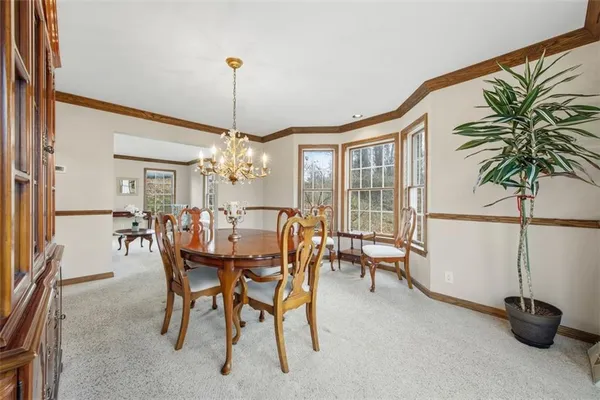 a dining room with furniture potted plants and wooden floor