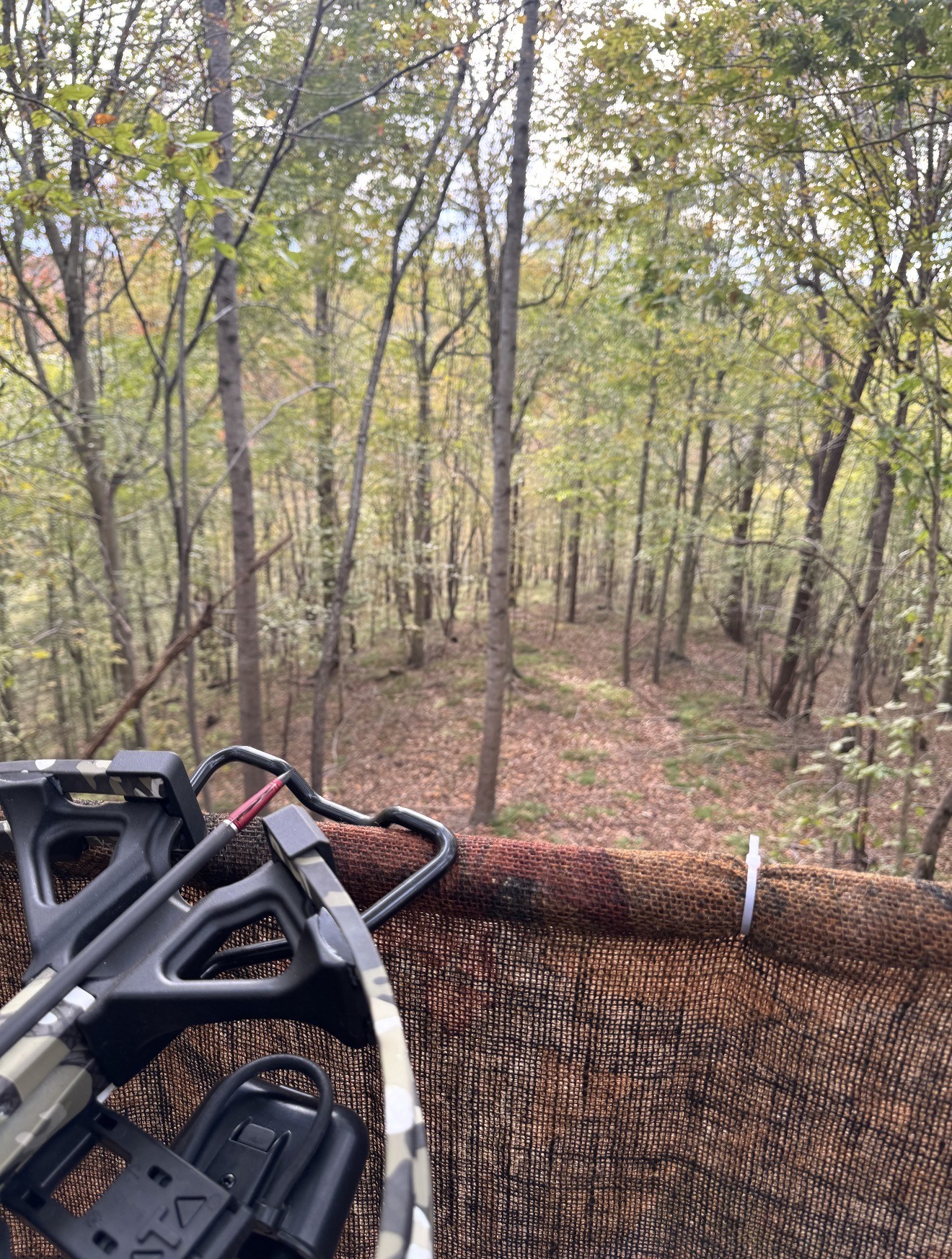 0 Downing Hollow Road Waynesboro, TN 38485 - Photo 3 of 26