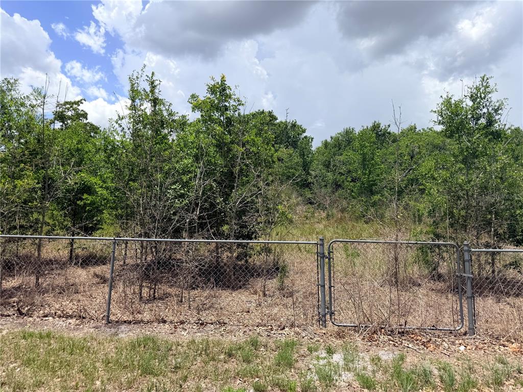 33 Ridge Road Frostproof, FL 33843 - Photo 21 of 21 a backyard of a house with lots of green space