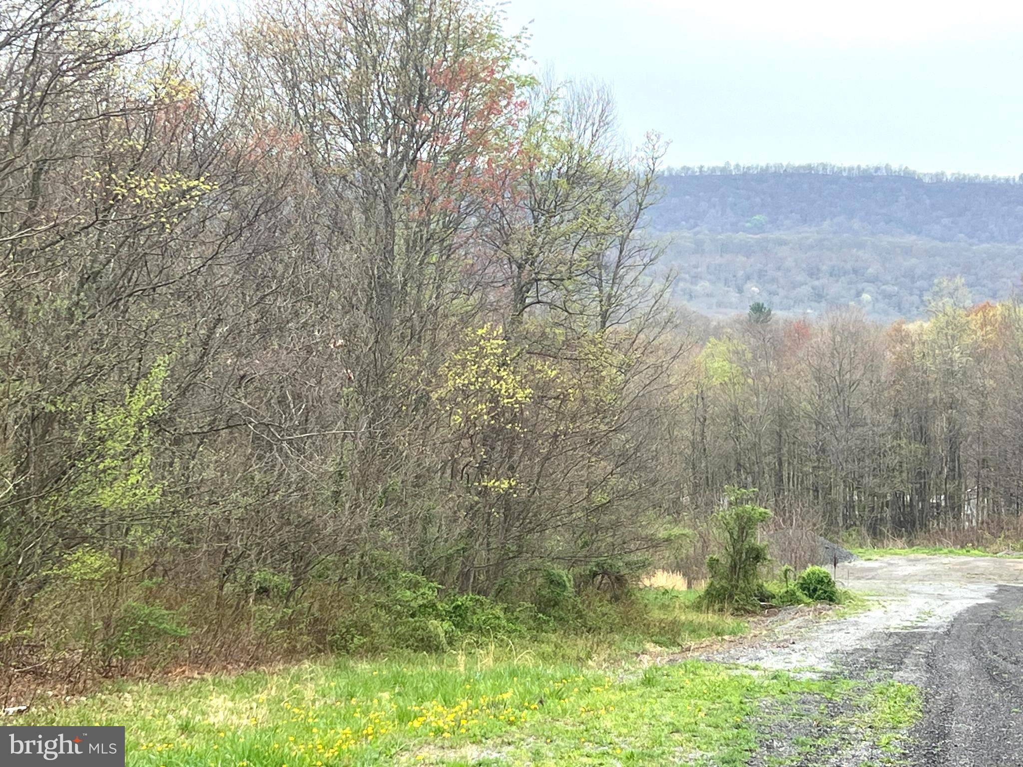 Lot # Ridge Way Drive Everett, PA 15537 - Photo 1 of 4 a view of a wooden house with a yard