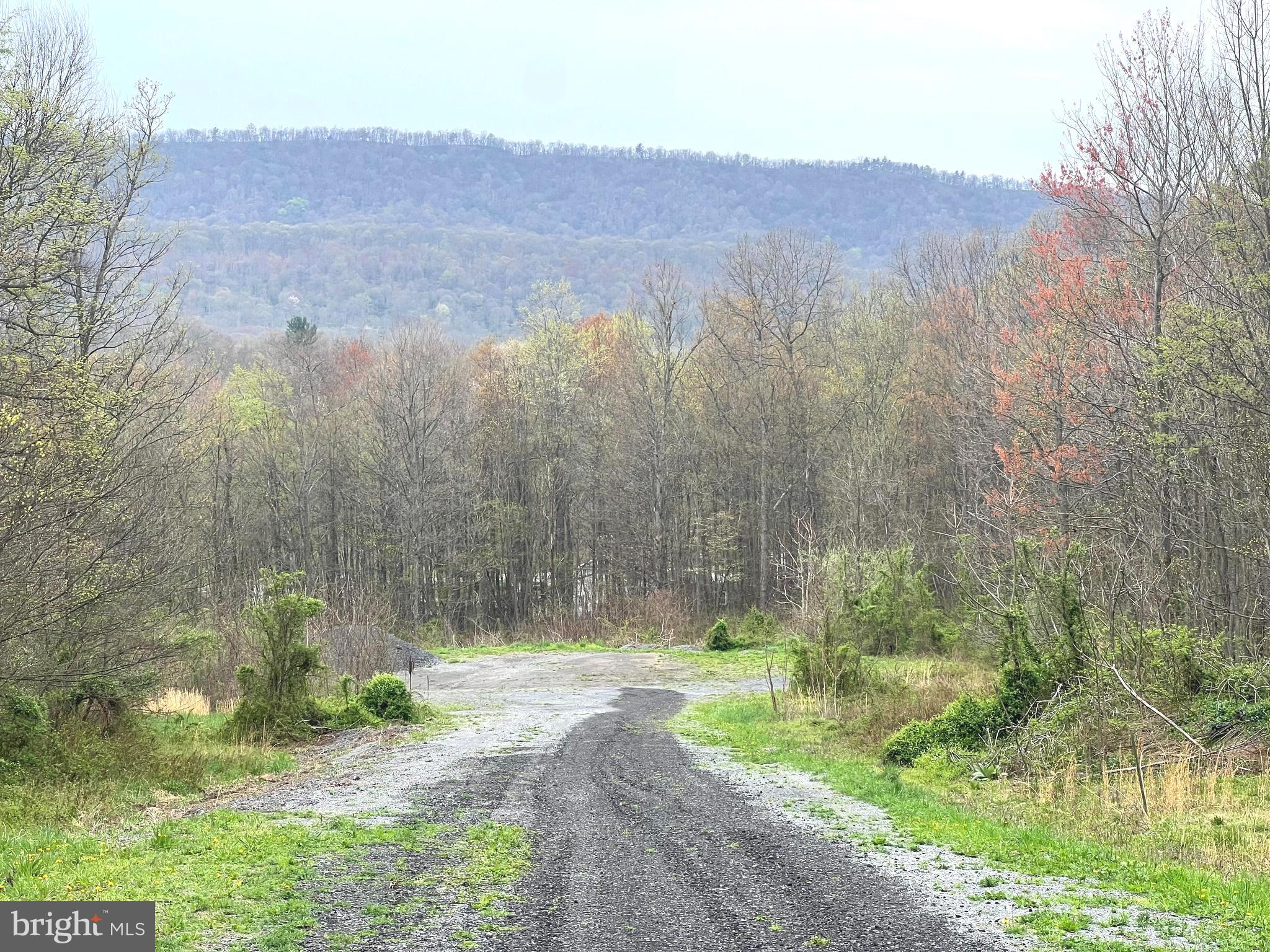 Lot # Ridge Way Drive Everett, PA 15537 - Photo 3 of 4 a view of a back yard
