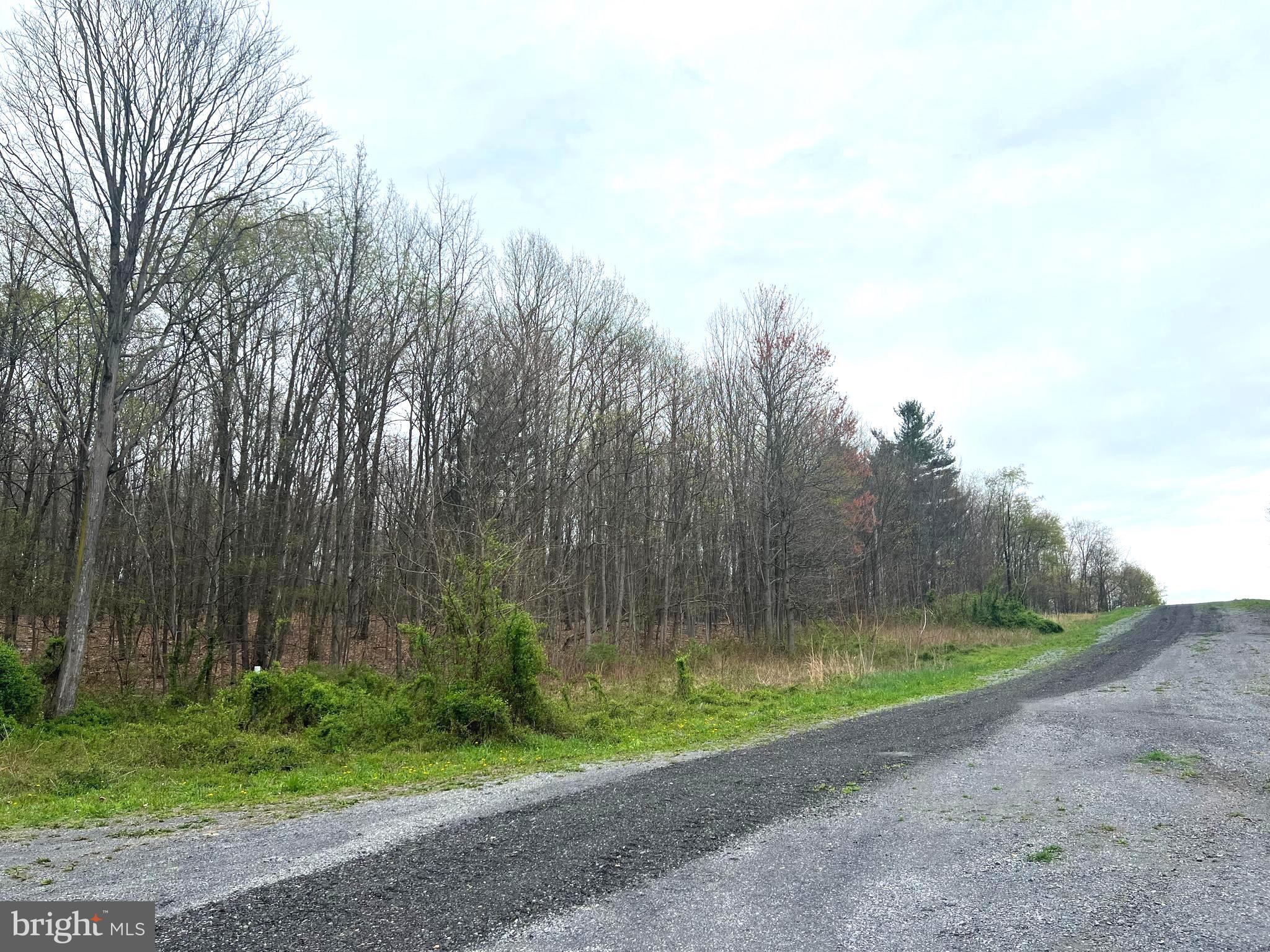 Lot # Ridge Way Drive Everett, PA 15537 - Photo 4 of 4 a view of a park