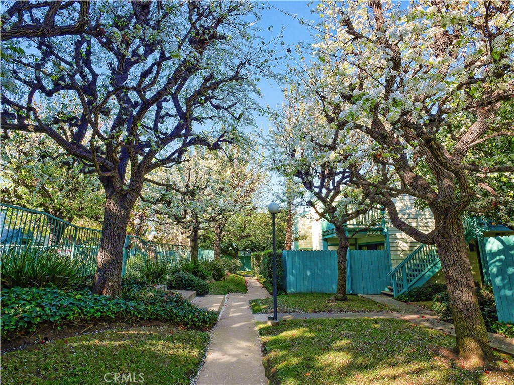 20561 South Vermont Avenue, Unit 7 Torrance, CA 90502 - Photo 23 of 24 Beautiful Trees