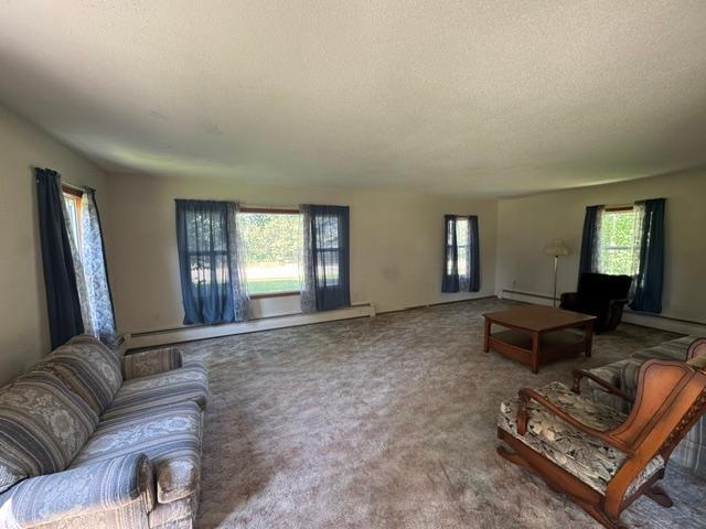 1228 Highway 71 Sebeka, MN 56477 - Photo 23 of 41