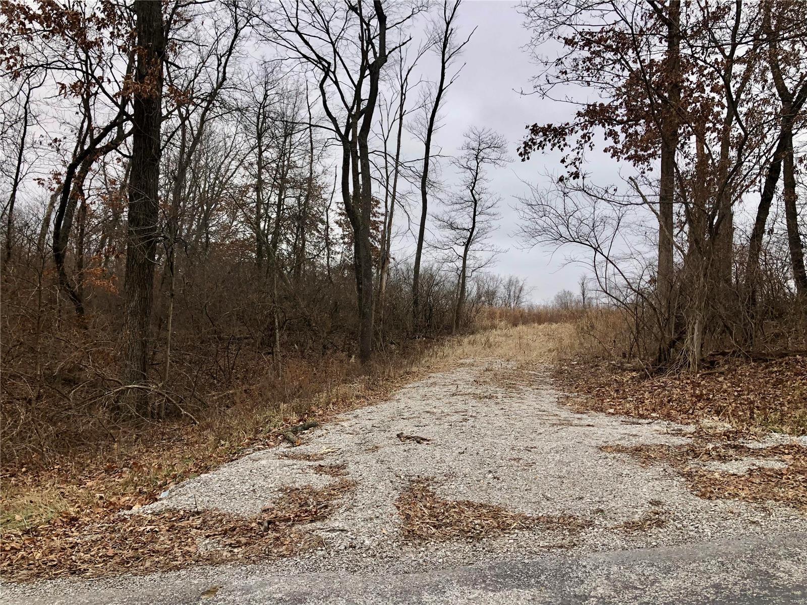 0 Bockstruck Lane Alton, IL 62002 - Photo 11 of 12