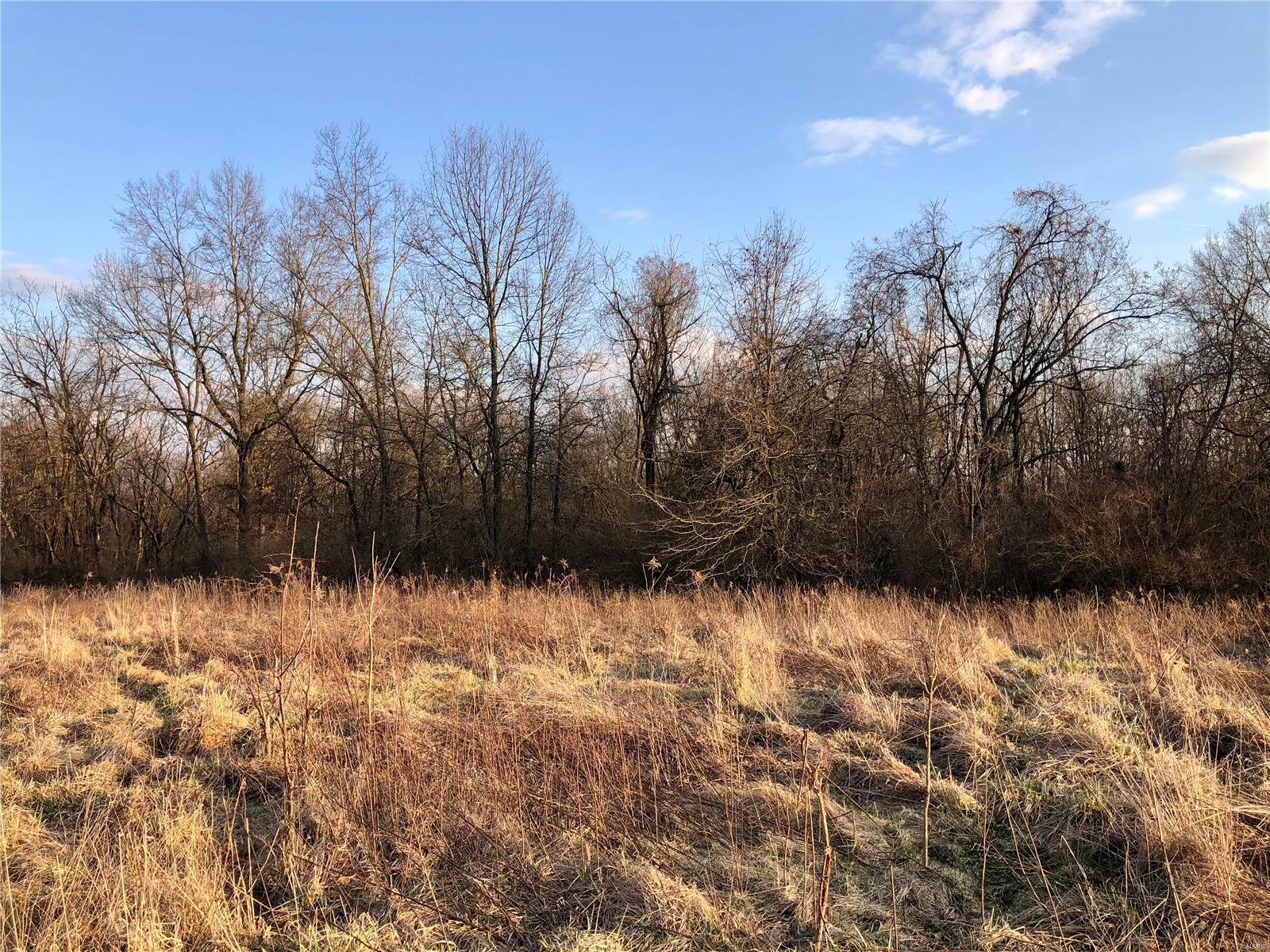 0 Bockstruck Lane Alton, IL 62002 - Photo 2 of 12