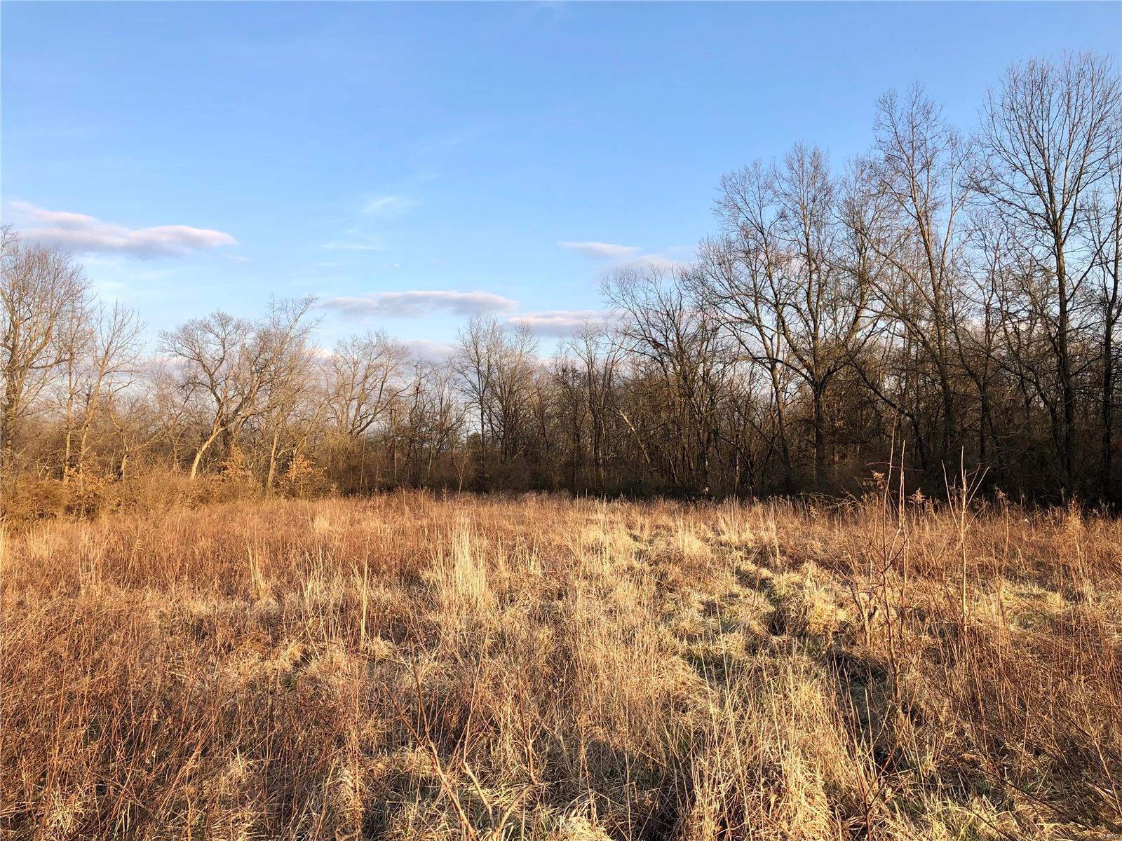 0 Bockstruck Lane Alton, IL 62002 - Photo 3 of 12