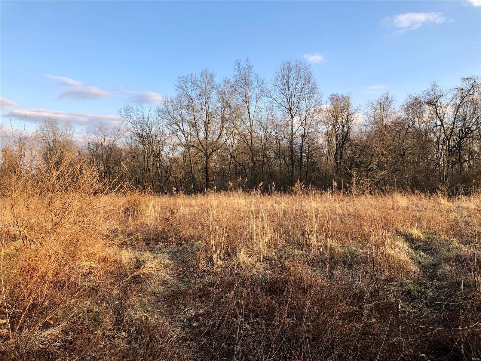 0 Bockstruck Lane Alton, IL 62002 - Photo 4 of 12