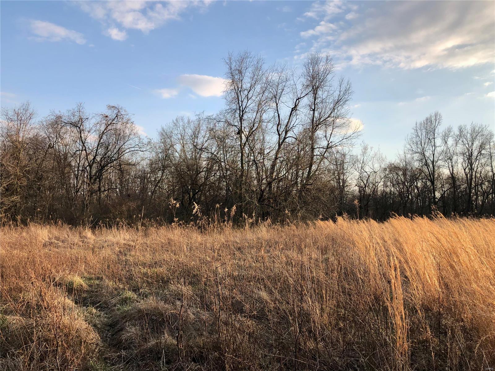 0 Bockstruck Lane Alton, IL 62002 - Photo 5 of 12