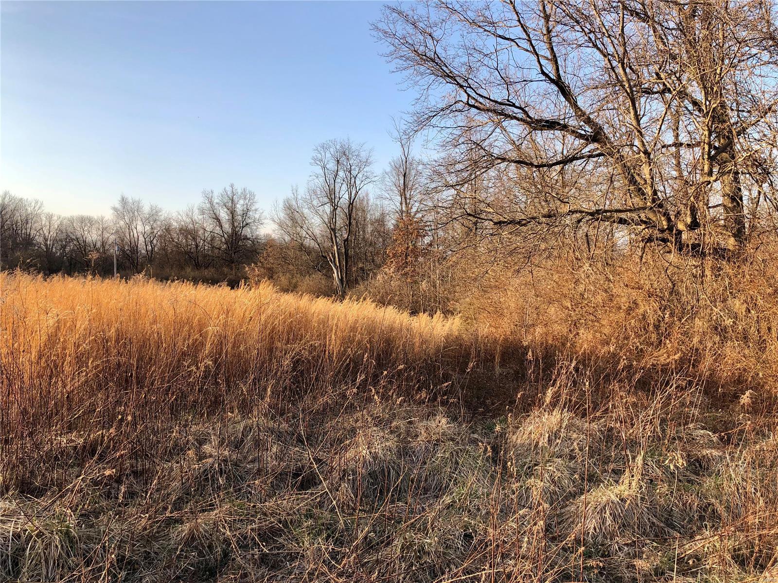 0 Bockstruck Lane Alton, IL 62002 - Photo 7 of 12