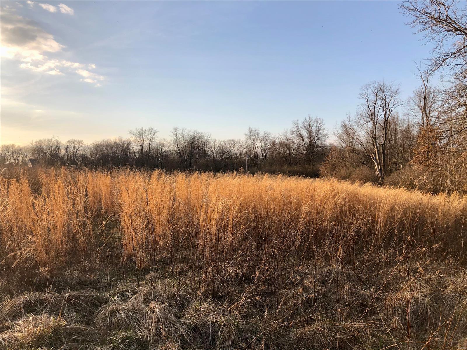 0 Bockstruck Lane Alton, IL 62002 - Photo 8 of 12