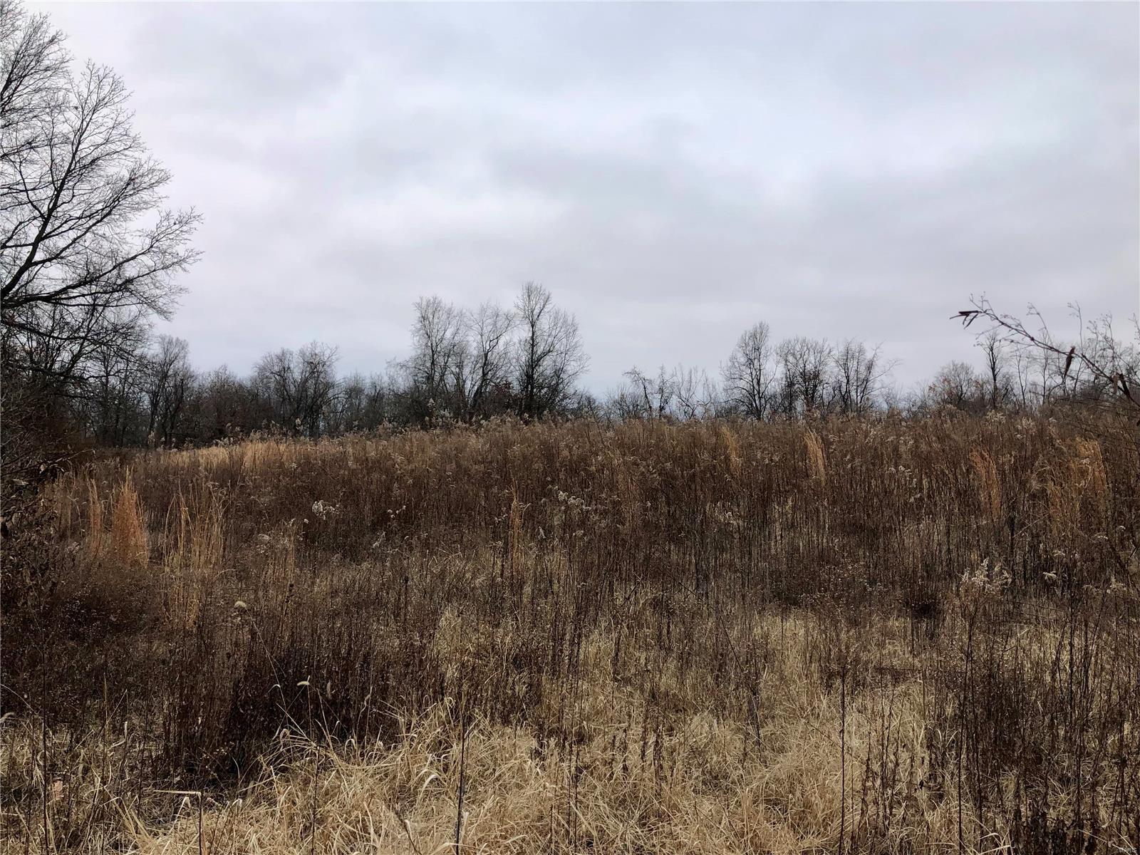 0 Bockstruck Lane Alton, IL 62002 - Photo 9 of 12