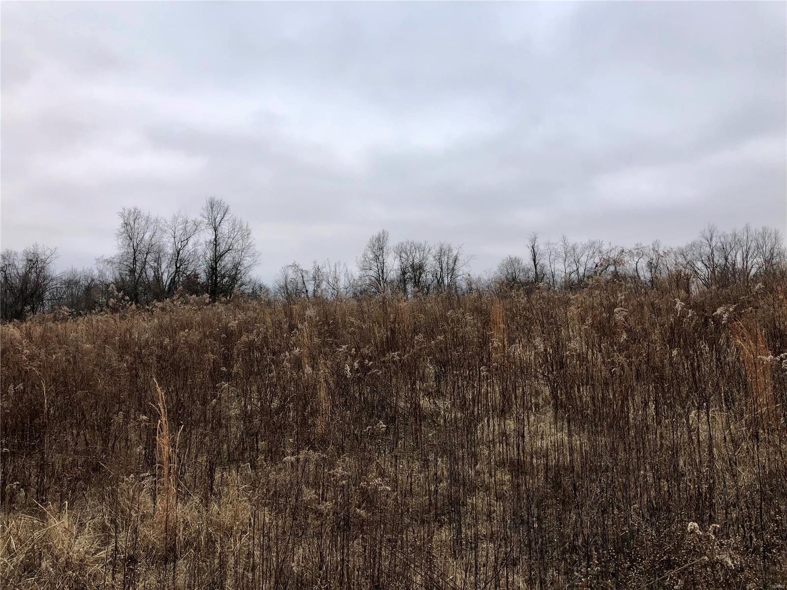 0 Bockstruck Lane Alton, IL 62002 - Photo 10 of 12