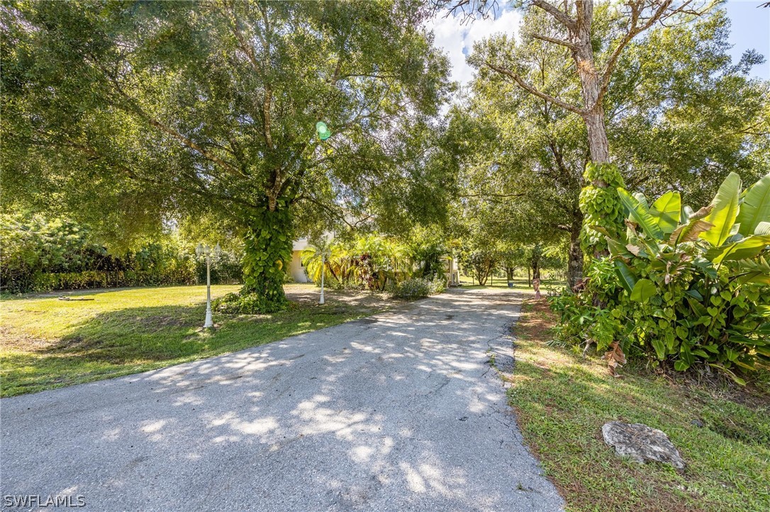2313 Hamilton Avenue Alva, FL 33920 - Photo 2 of 30 a view of a park with large trees
