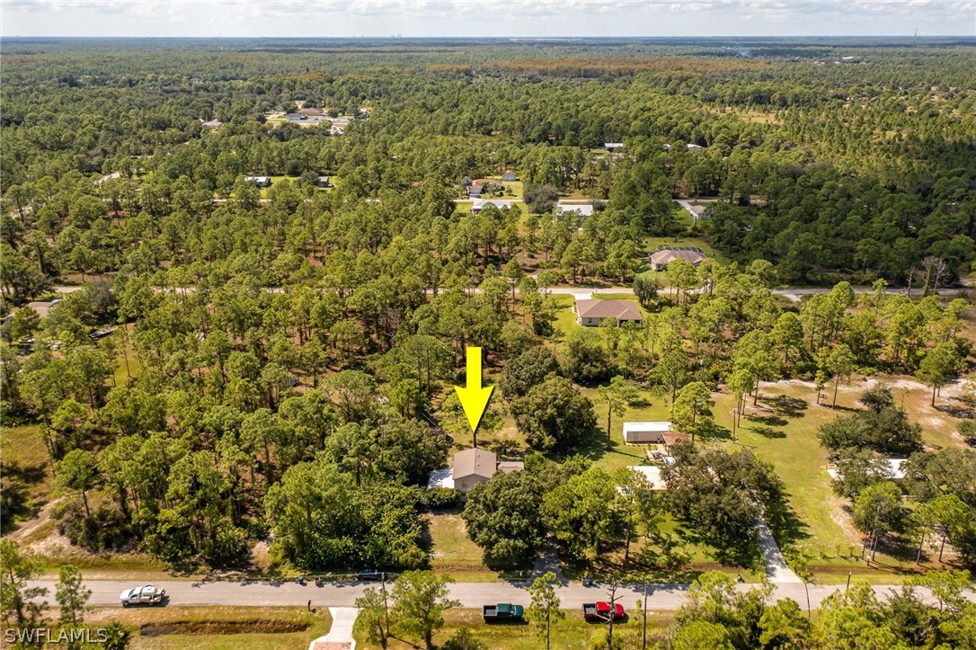 2313 Hamilton Avenue Alva, FL 33920 - Photo 27 of 30 a view of a city with lush green forest