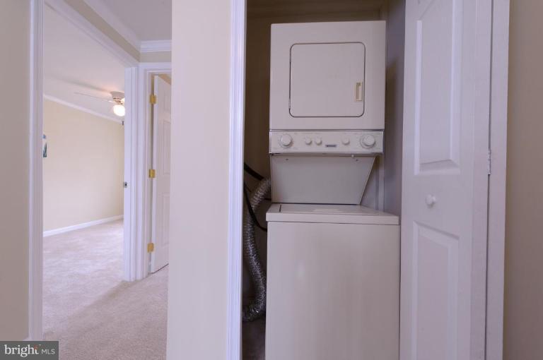 4423 Norfen Road Halethorpe, MD 21227 - Photo 14 of 18 Laundry Area 1