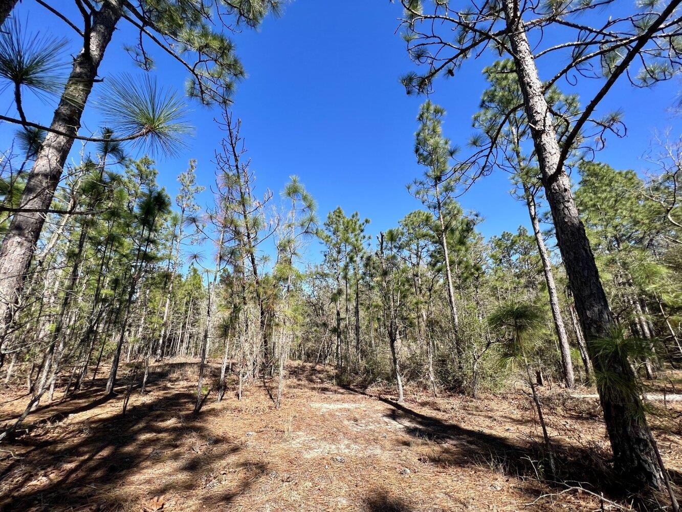 0 Dixon Road Bay Minette, AL 36507 - Photo 22 of 50